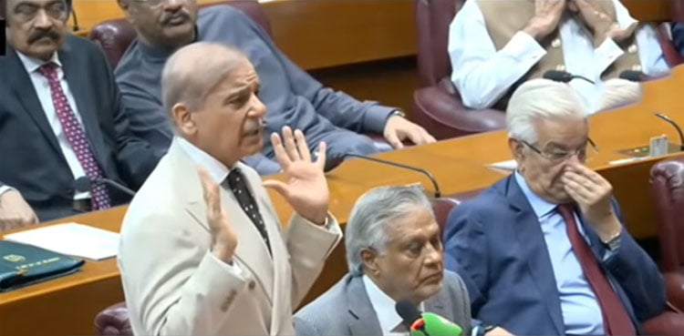 If 2018 government was legitimate, so is ours: PM Shehbaz