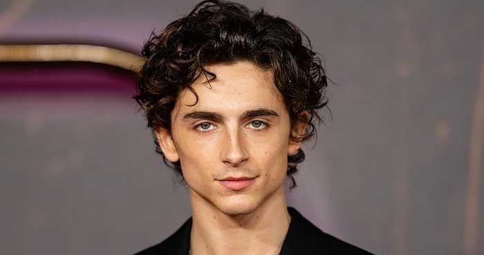 Timothée Chalamet teases next major film project