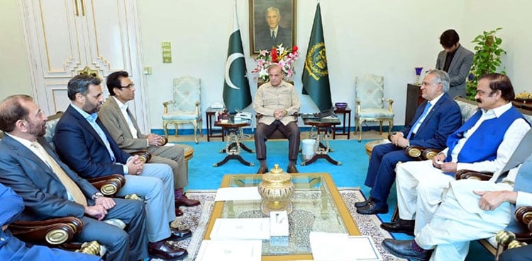 MQM-P demands empowered local govt, restoration of Kamran Tessori