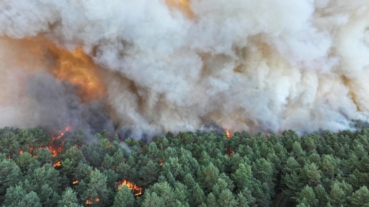 Huge fire rages in Fontainebleau forest near Paris