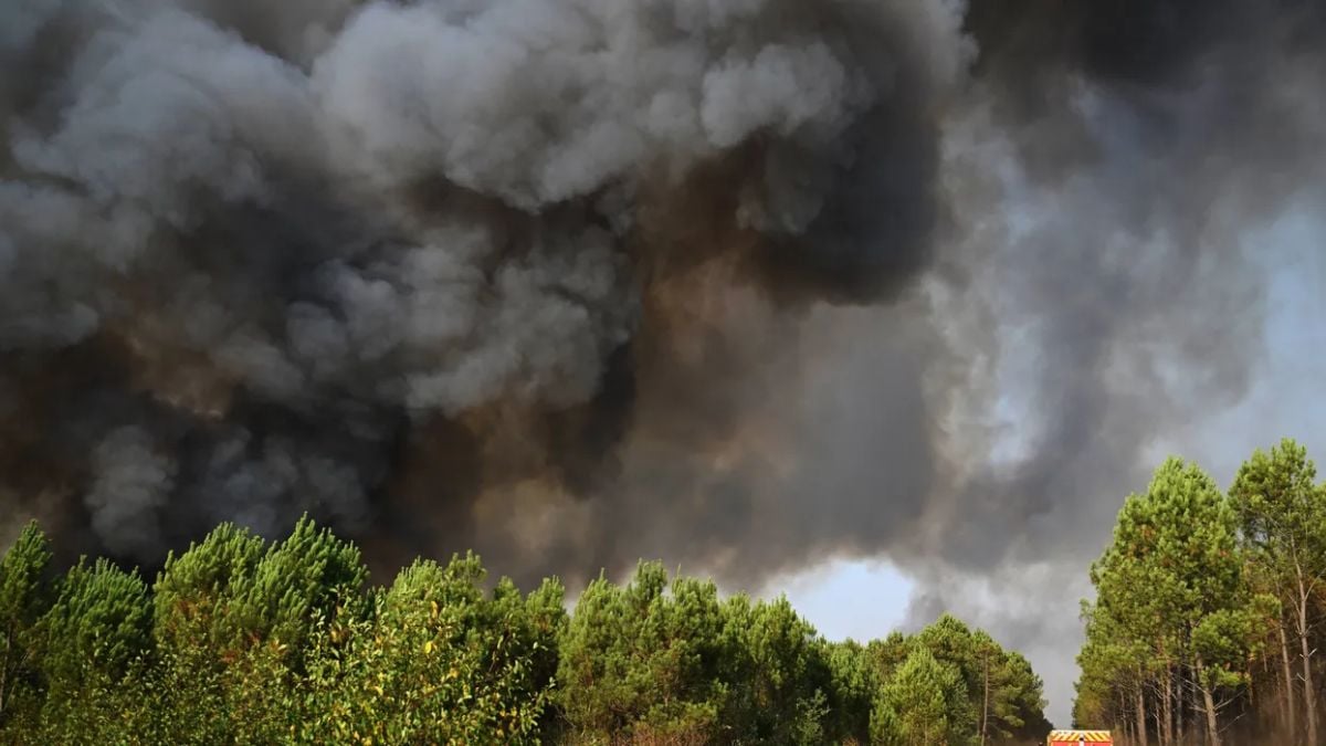 Rain dampens France fire, as Spain reports 'almost no flames'