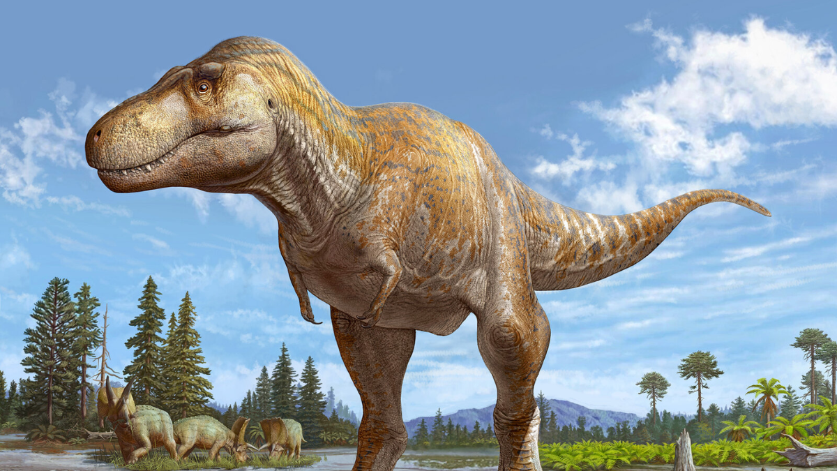 Tyrannosaurus rex babies were born the size of house cats