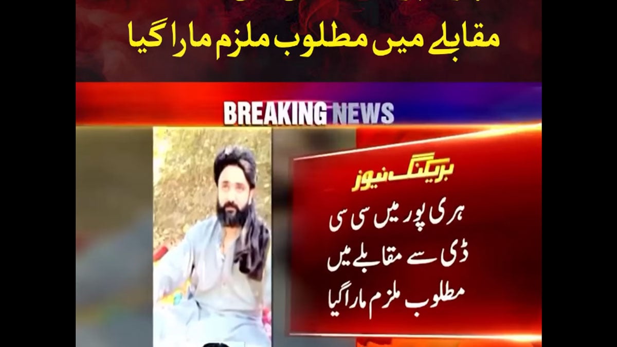 Father, son killed in CCD encounter in Haripur