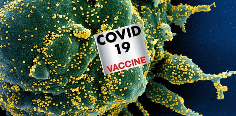 Covid-19 boosters offer surprise defense against future animal coronaviruses