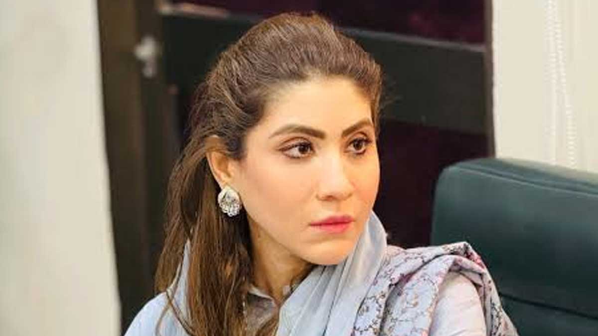 Hina Parvez Butt slams TikTokers, vloggers for creating negative influence