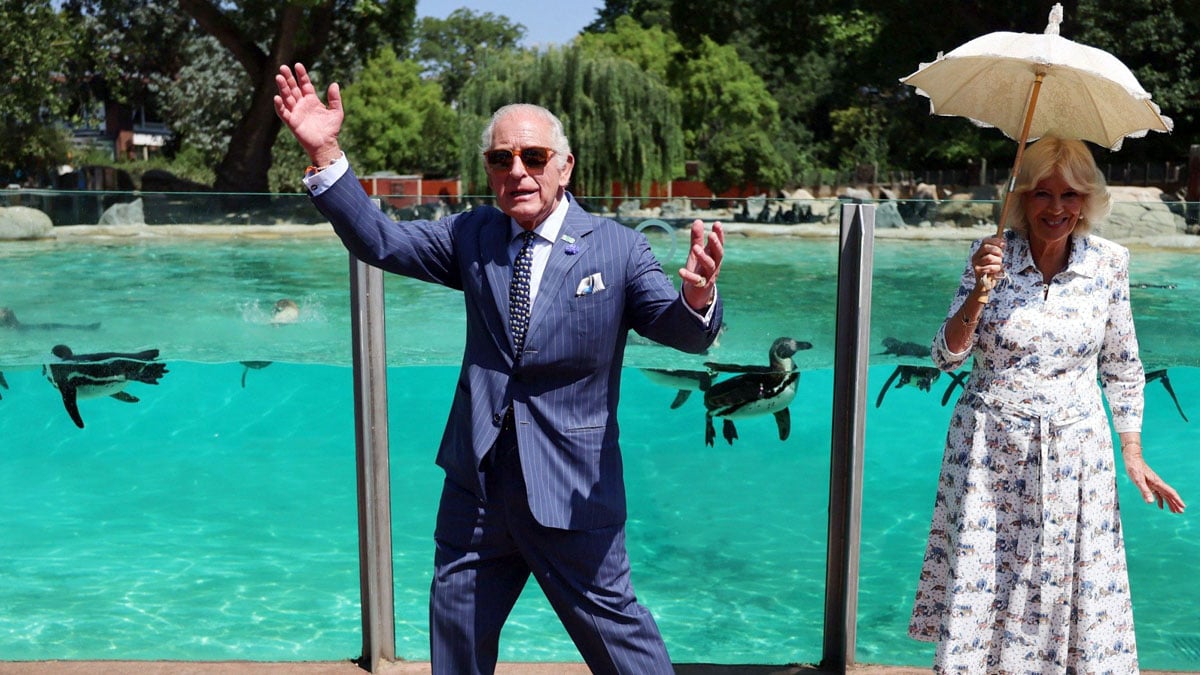 King Charles, Camilla share sweet Penguin moment