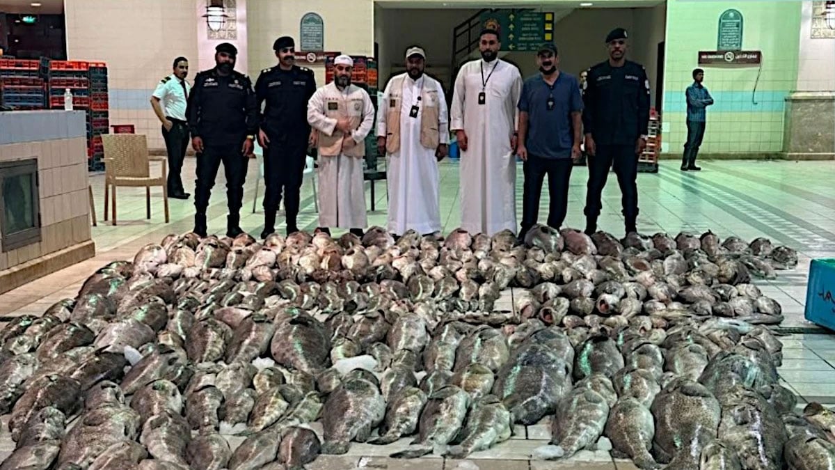 Be Careful Buying Fish at Kuwait's Waterfront Market as 3.2 Tons of Rotten Fish Seized