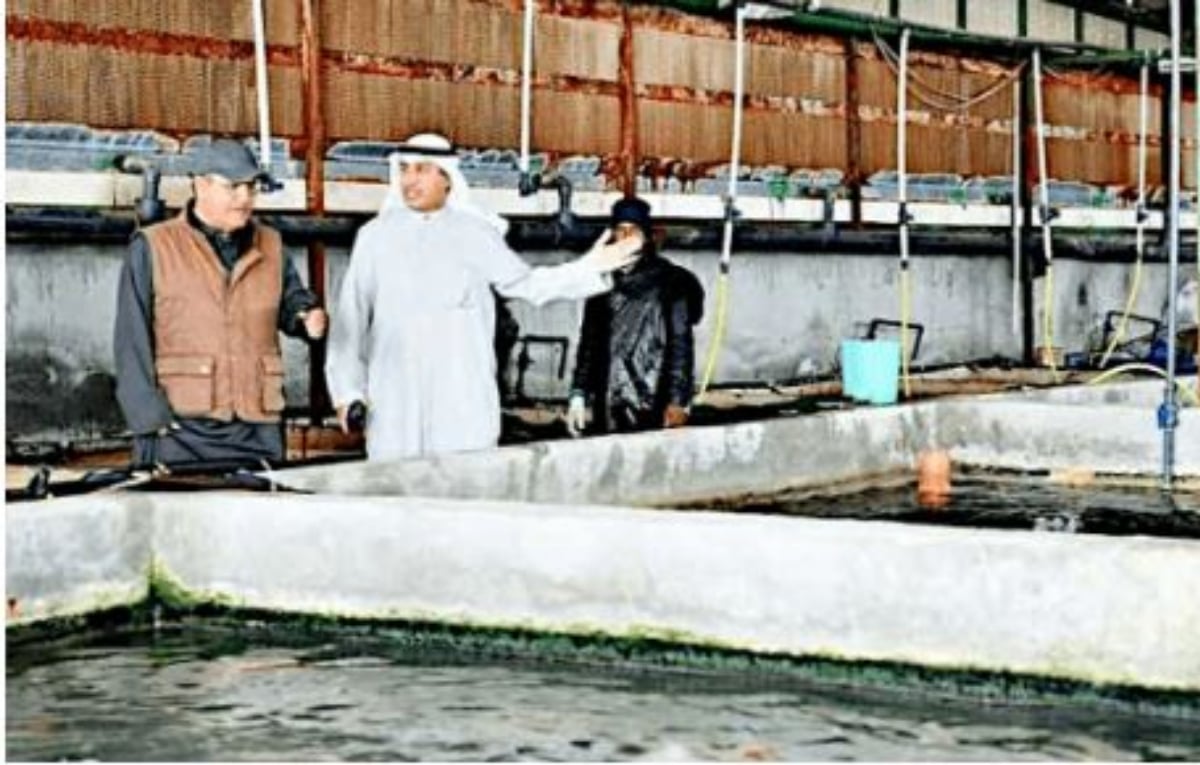 Kuwait fish farming project to be operational by 2030