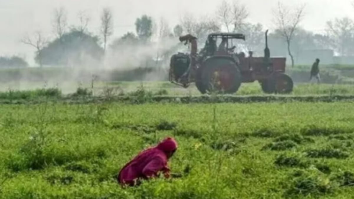 Punjab farmers to get scientific testing of soil and water to increase produce