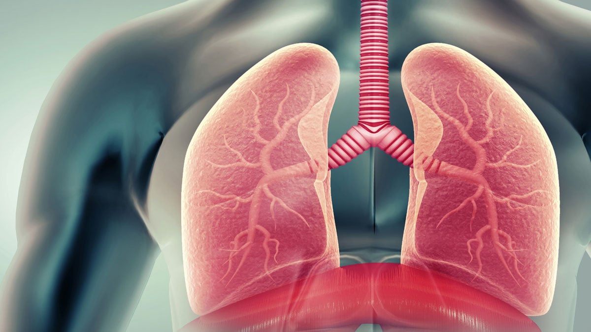 Lung transplants may save some cancer patients