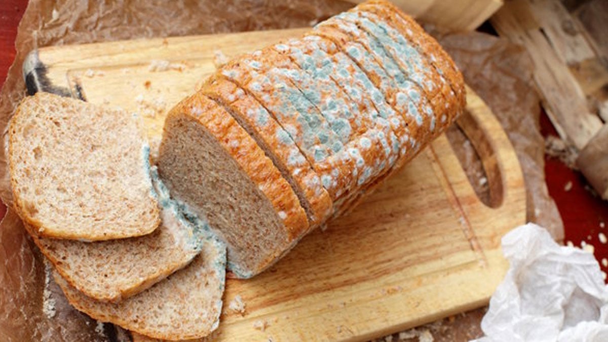 SHC fines customer Rs1.5mn over moldy bread complaint