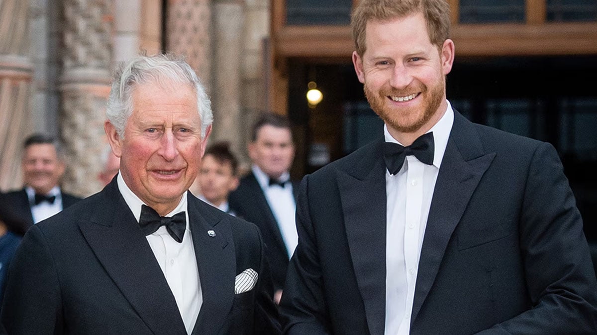 Prince Harry’s revealing look before King Charles talks exposed