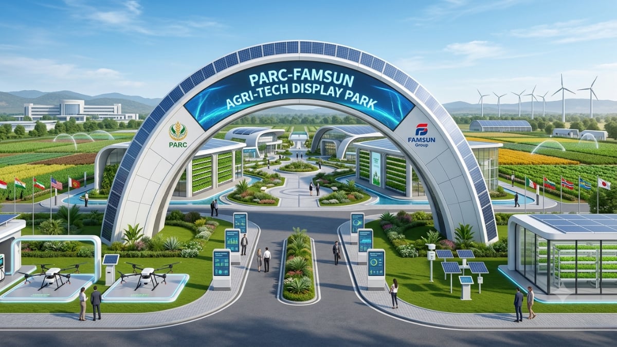 Pakistan, China join hands to establish technology display park