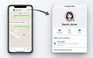 WhatsApp starts testing “Green Dot” to show who’s online