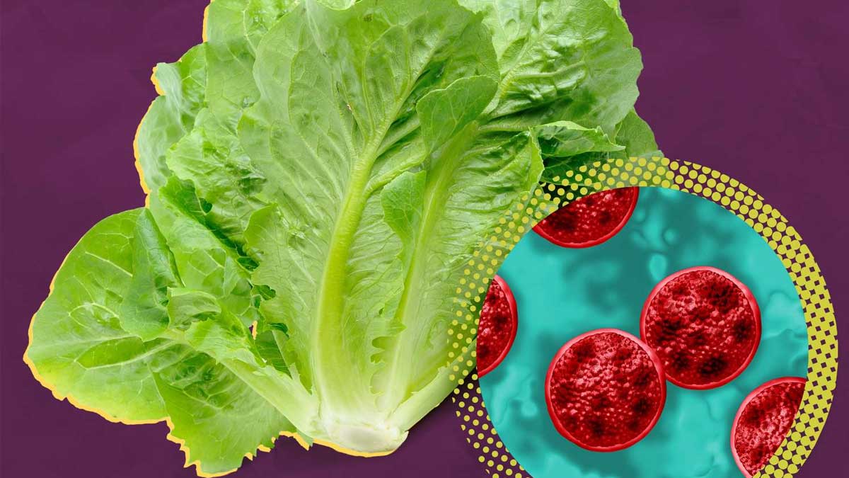 UK also reports rise in cyclospora infections