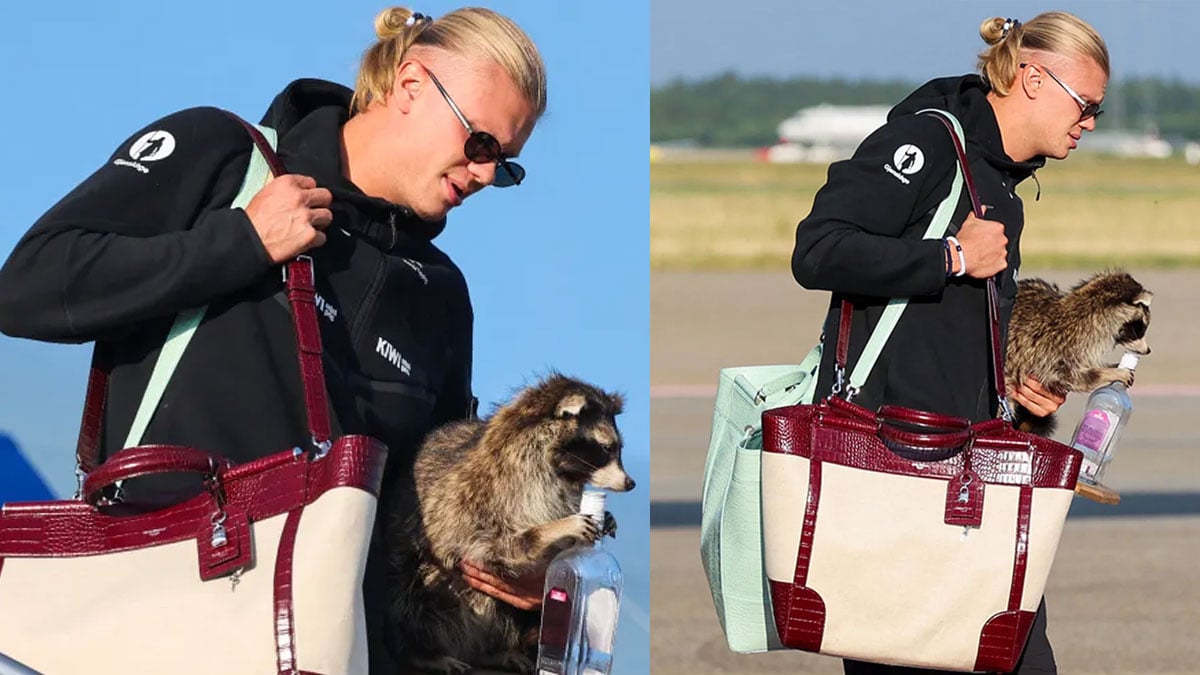 Erling Haaland returns to Norway with unusual souvenir after World Cup exit