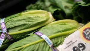 Cyclosporiasis probe linked to lettuce widens to THESE US states