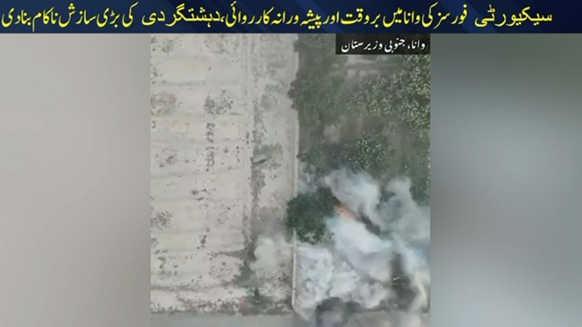 Security forces foil suicide attack attempt in Wana