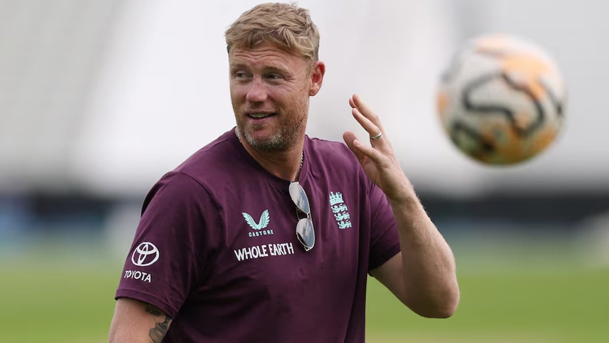Flintoff steps down as England Lions coach