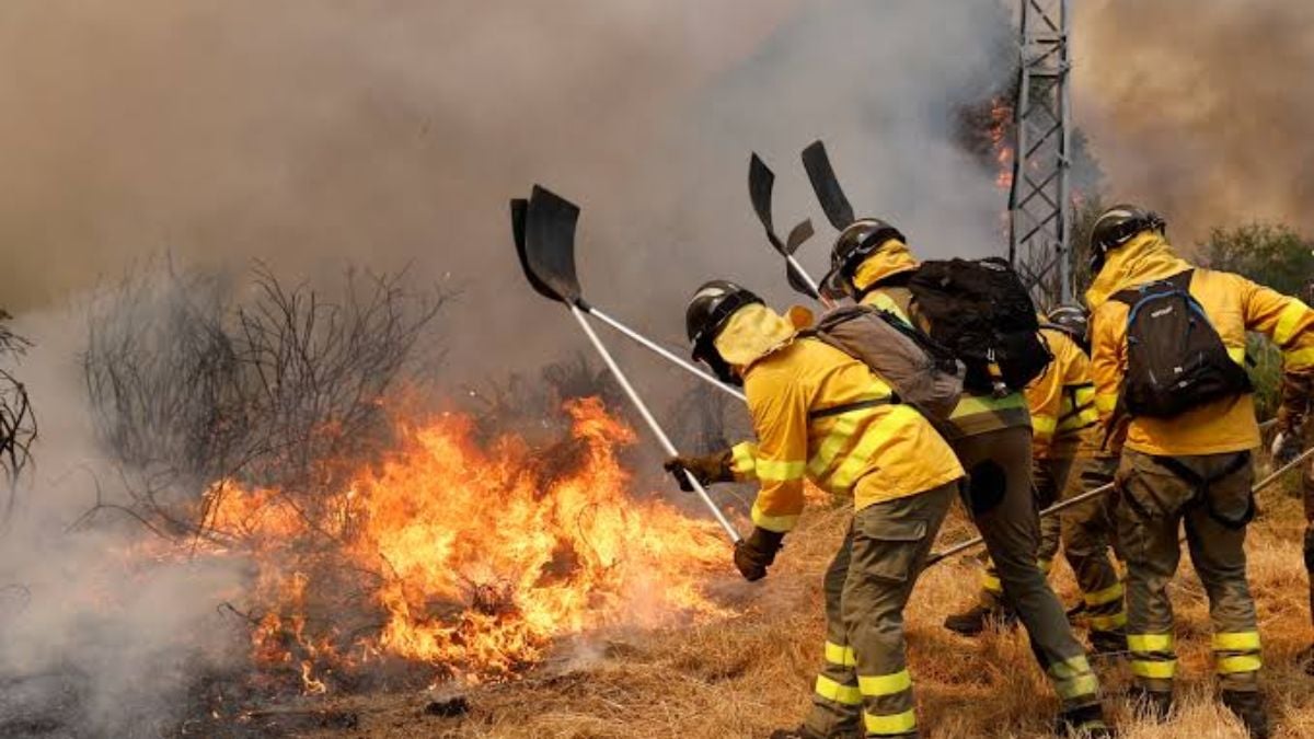 Spain deploys 275 firefighters to tackle Andalusia forest blaze