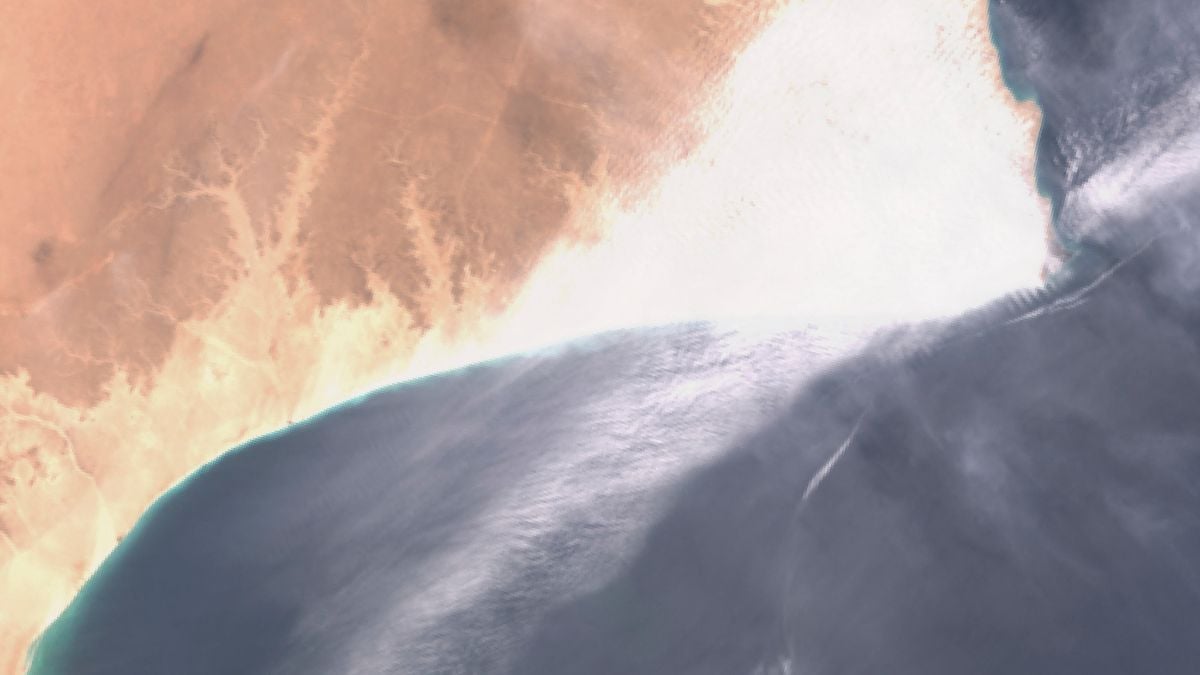 Oil spill off Oman reaches mainland: state media