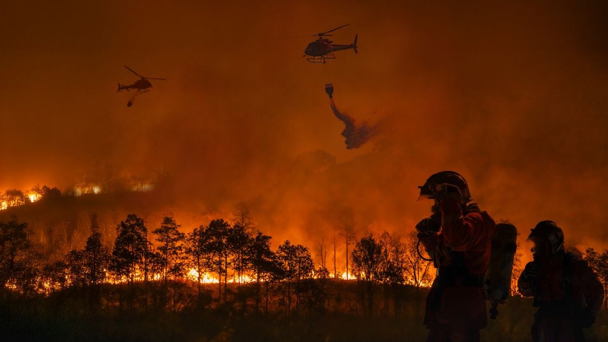 Fast-growing Belgium wildfire burns at least 1,600 hectares