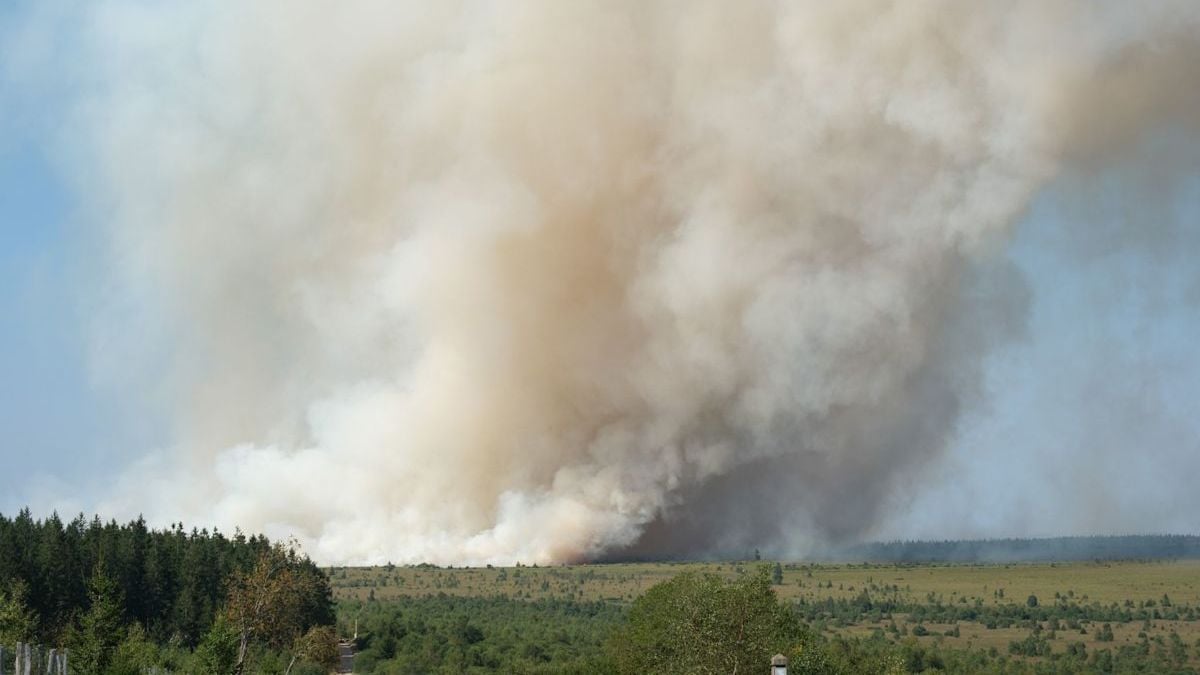 Air support kicks in as record Belgian wildfire jumps in size