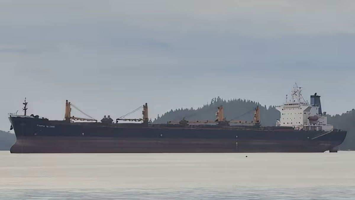 Two rescued after bulk carrier sinks off India