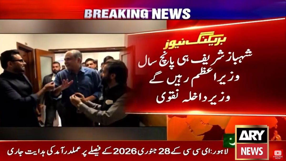 Mohsin Naqvi says incumbent govt will complete five-year term