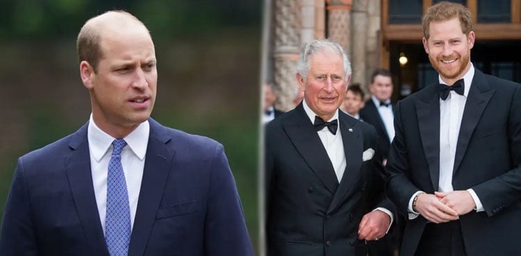 Prince Harry’s push for Royal reunion raises concerns for Prince William