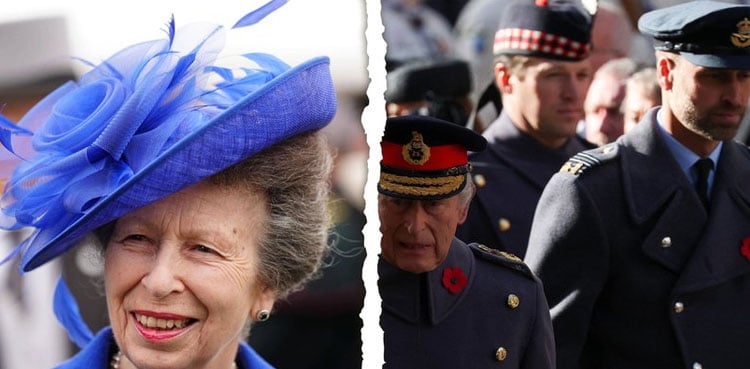 King Charles issues statement following Princess Anne's advice to Prince William
