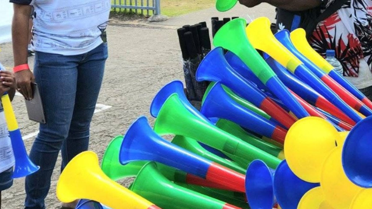 Peshawar bans toy guns, vuvuzela ahead of 14 August